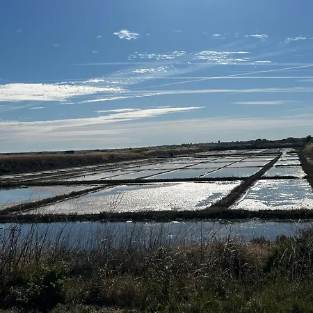 Du Mail, - Ile De Re La Couarde-sur-Mer